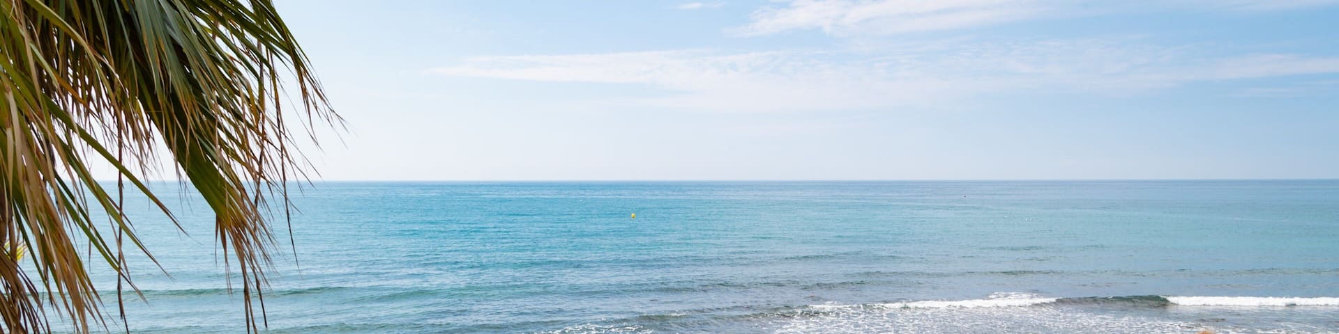 Venus Beach showing a beach, tropical scenes and general coastal views