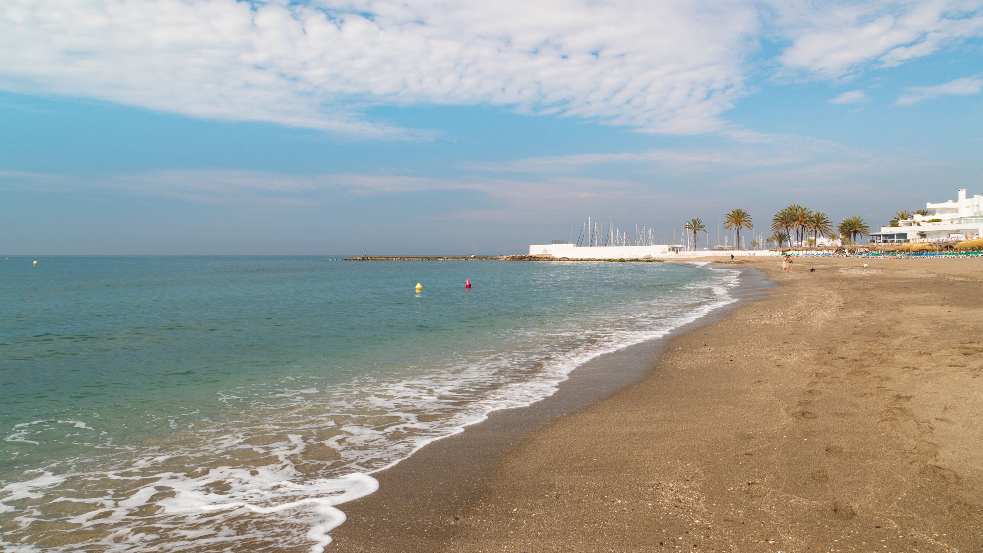 A beach with clear water, a sandy shore, and palm trees.
