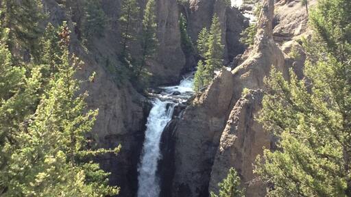 ๋ณด์ผ๋ง์คํ๋ง์ค