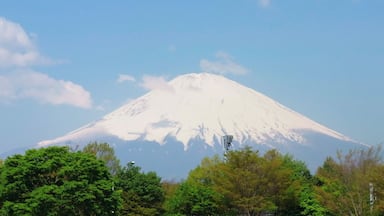 A snow-capped mountain with a clear sky.