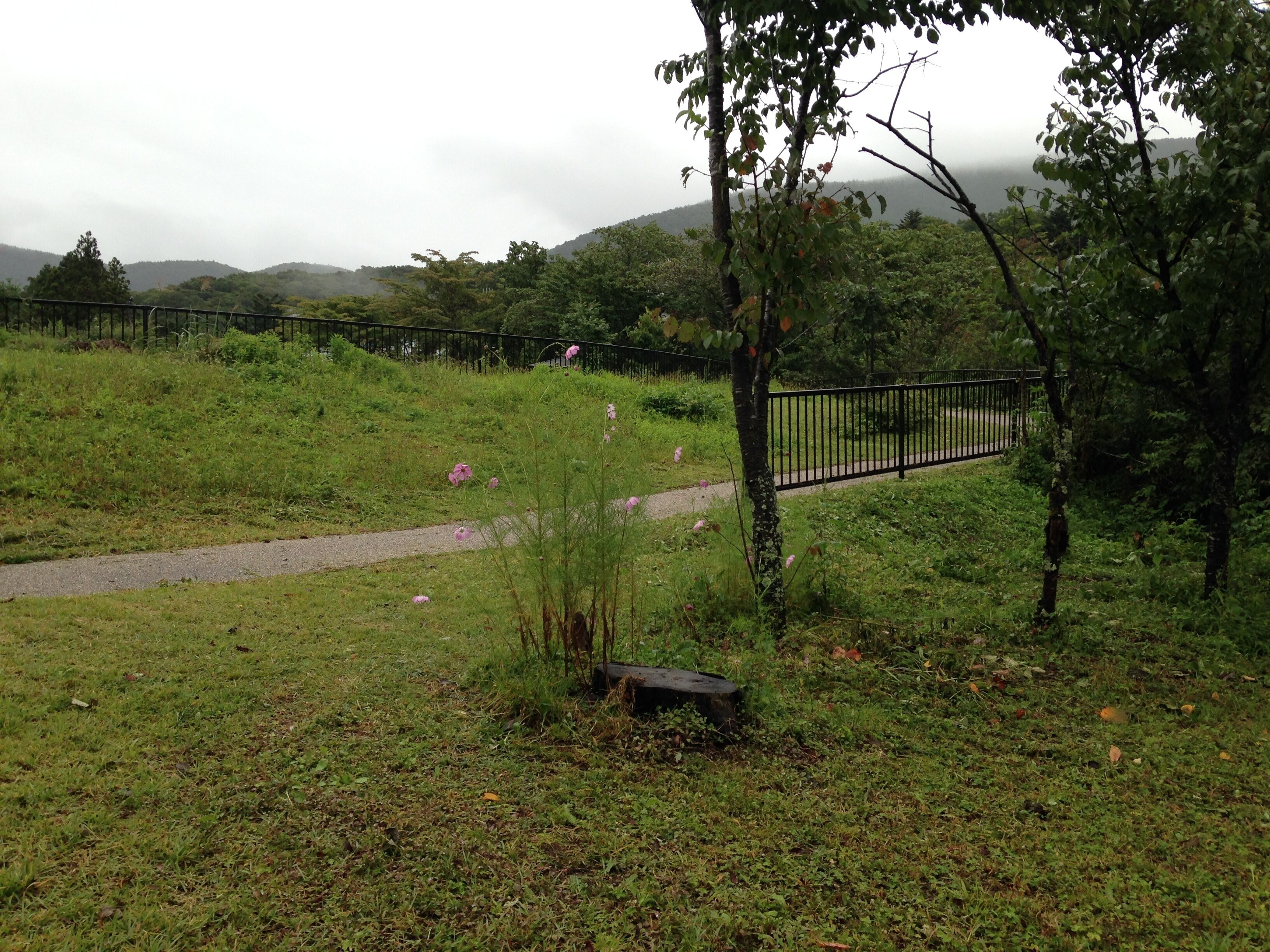 Un campo cubierto de césped con un sendero de grava, una cerca de metal negro y árboles.
