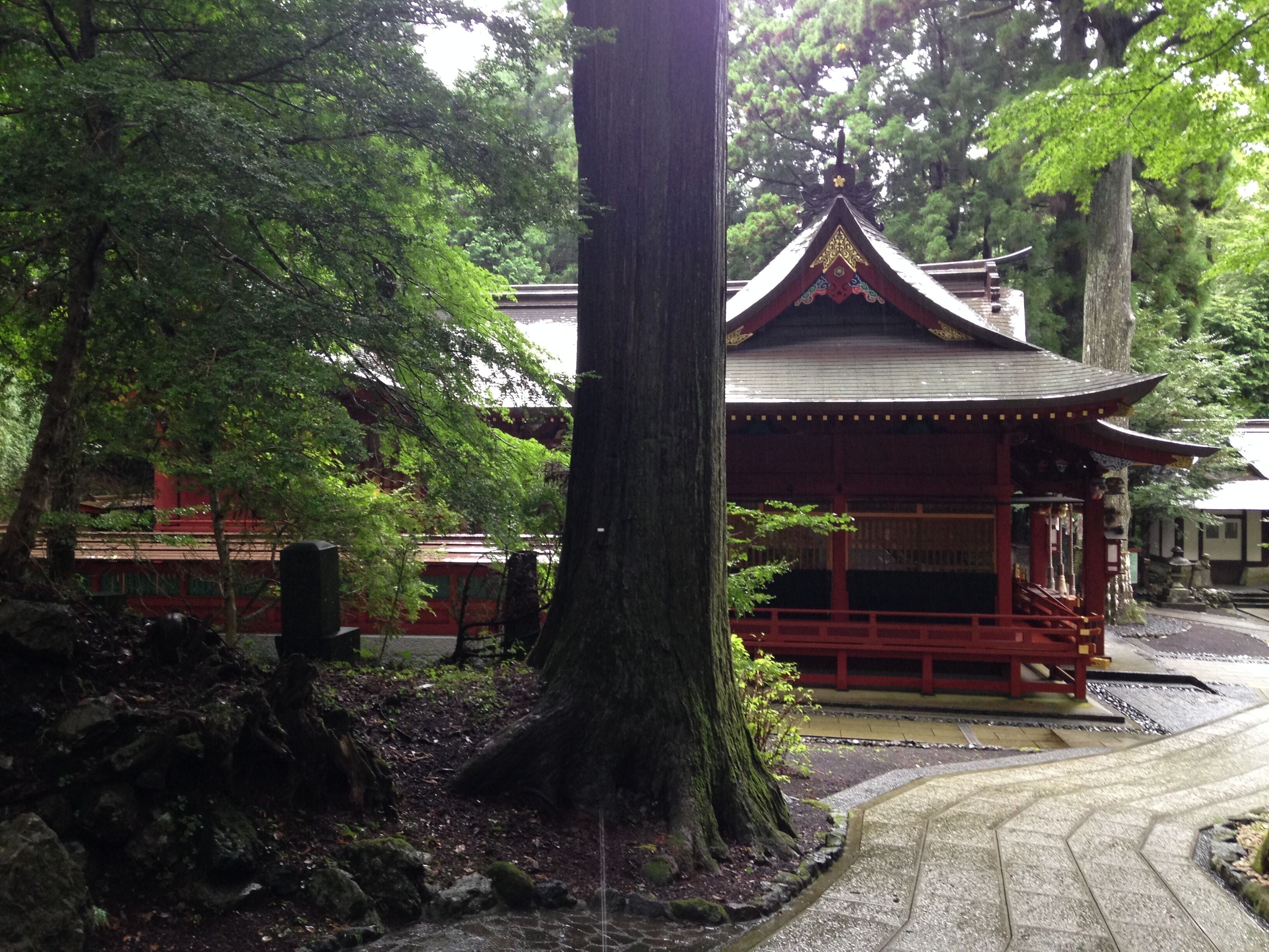 A traditional Japanese pagoda surrounded by lush greenery.