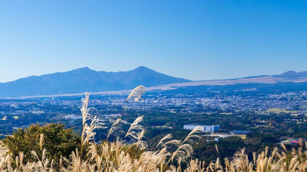 A snow-capped mountain, a town in the valley, and distant hills.
