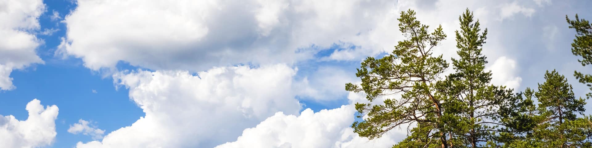 Schweden, Västergötland, Tivedens Nationalpark, Stora Trehörningen