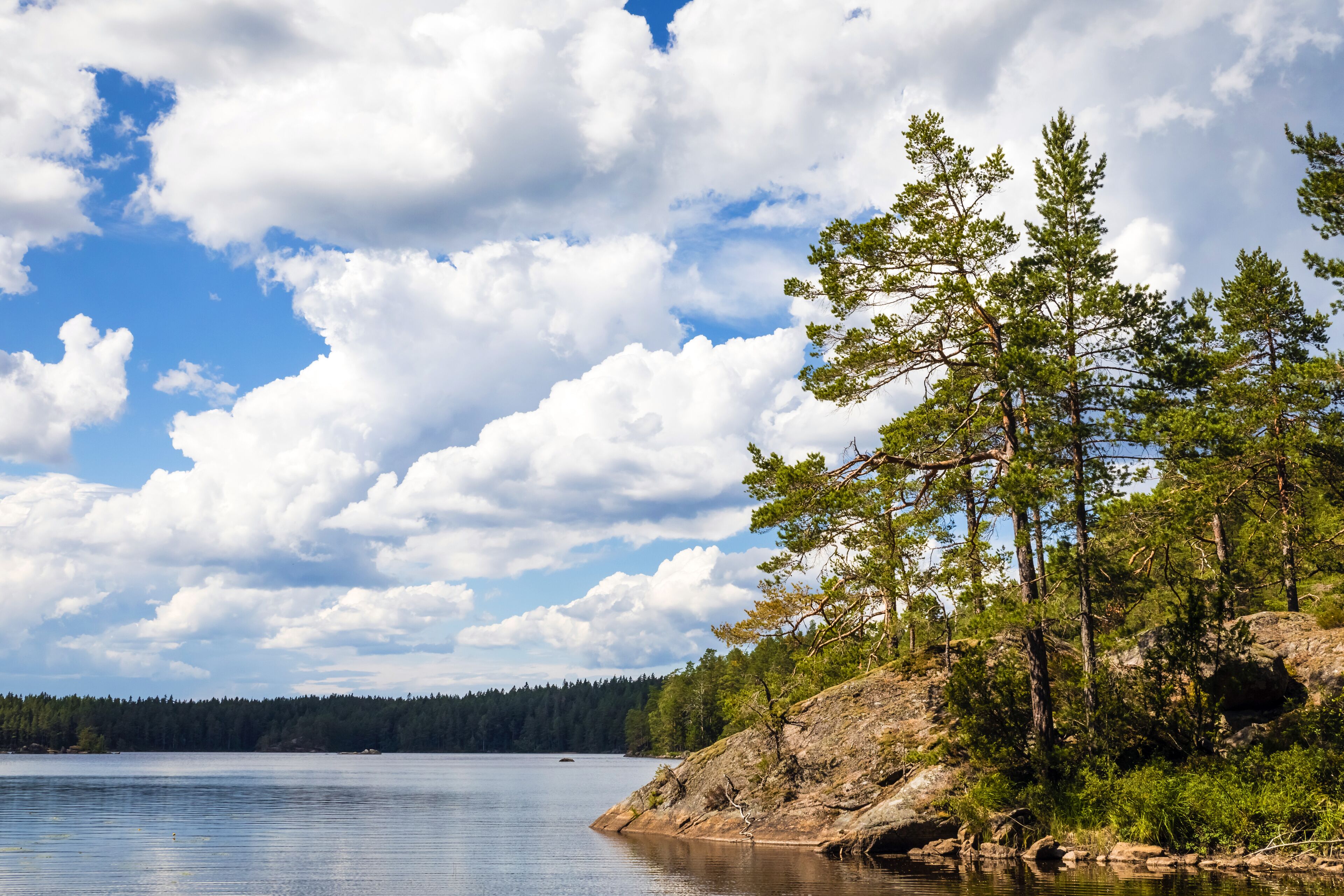 A calm lake with a rocky shoreline and a forested area.