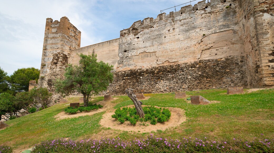Sohail Castle showing wildflowers, heritage elements and chateau or palace