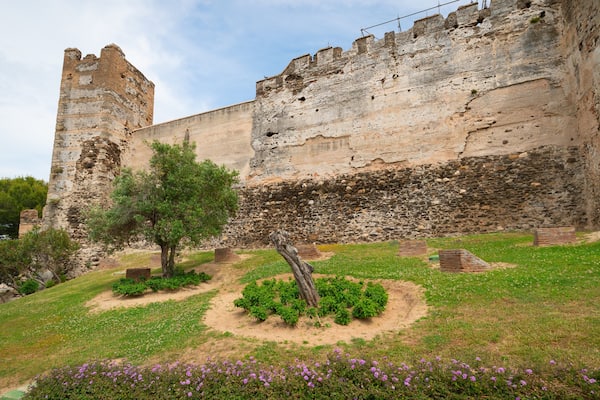 A historic stone wall with a tree in the foreground and a grassy area with purple flowers.