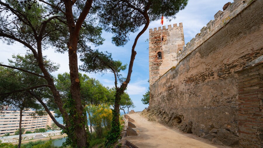 Sohail Castle featuring a castle and heritage elements
