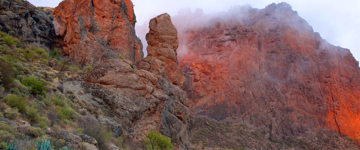 Roque Nublo das einen Berge und Nebel