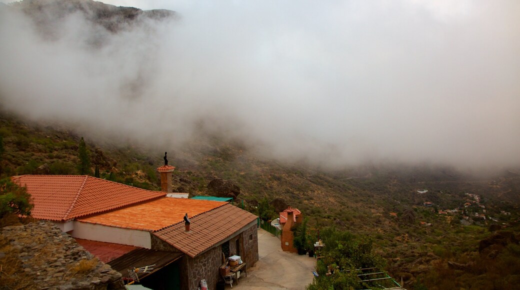 Roque Nublo featuring a house and mist or fog