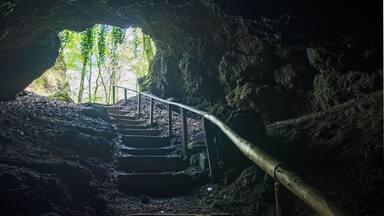 stairway out of the cave into the sun lighted forest near Birresborn, Germany