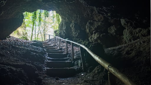 stairway out of the cave into the sun lighted forest near Birresborn, Germany