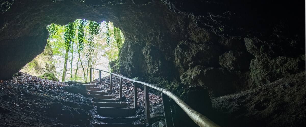 A staircase leading up to a cave entrance with a view of trees outside.