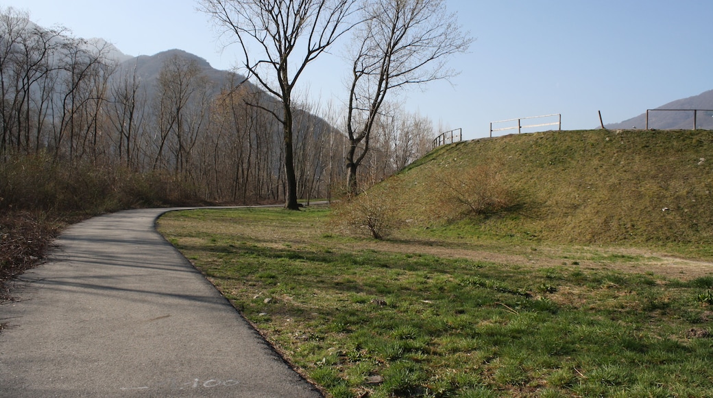 Fiume Toce (Q47316717)