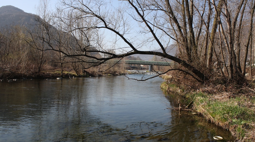 Fiume Toce (Q47316717)