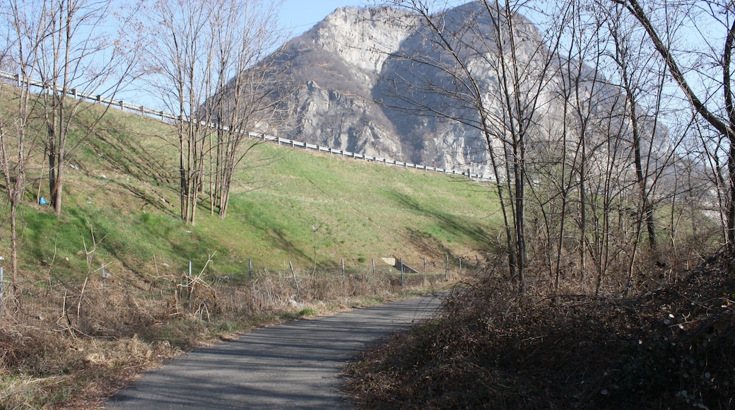 Fiume Toce (Q47316717)