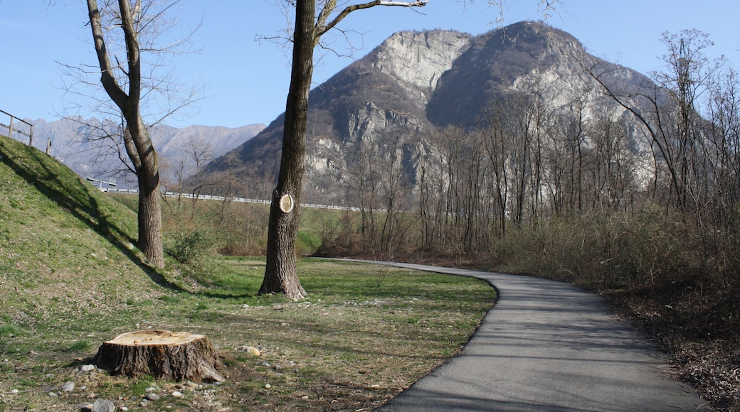 Fiume Toce (Q47316717)