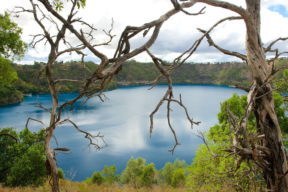 Un lago rodeado de árboles y colinas.