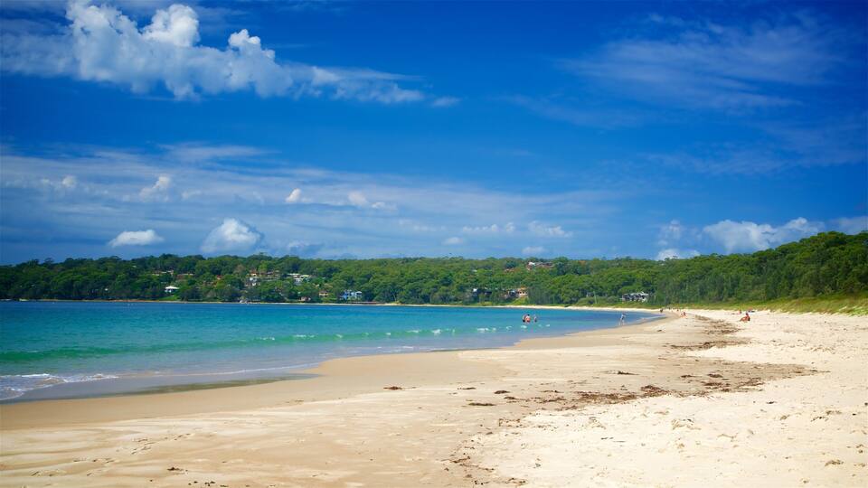 A beach with clear turquoise water, sandy shore, and a forested hill in the background.