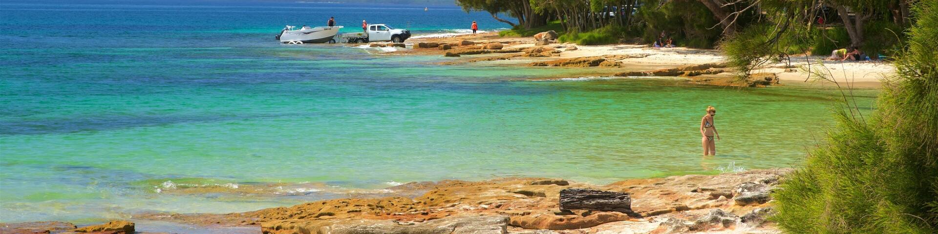 Collingwood Beach which includes coral and a beach