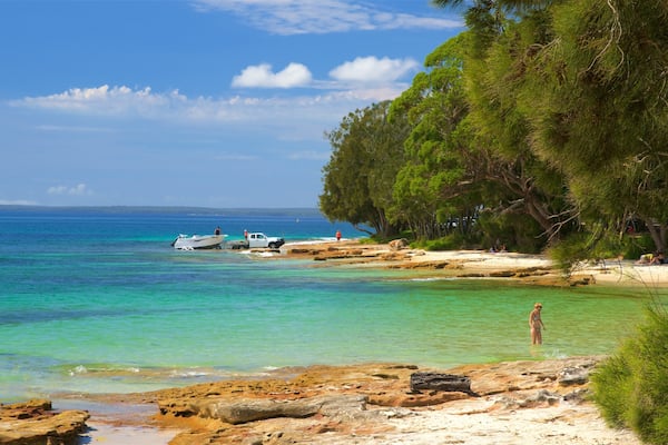 Collingwood Beach which includes coral and a beach