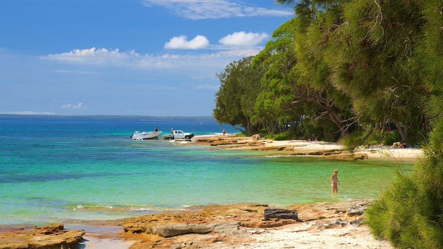 Collingwood Beach which includes coral and a beach