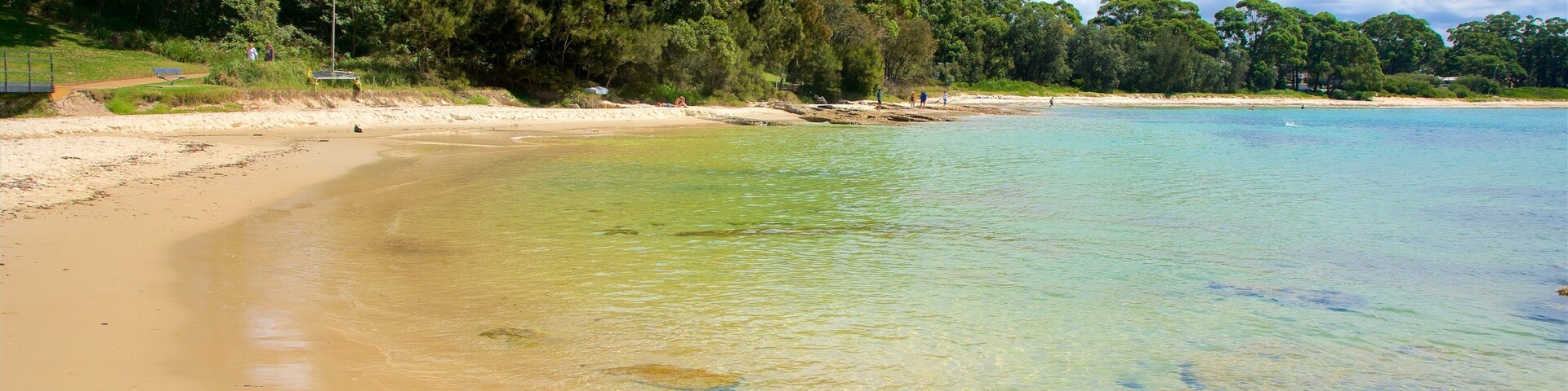 Collingwood Beach which includes a beach and general coastal views