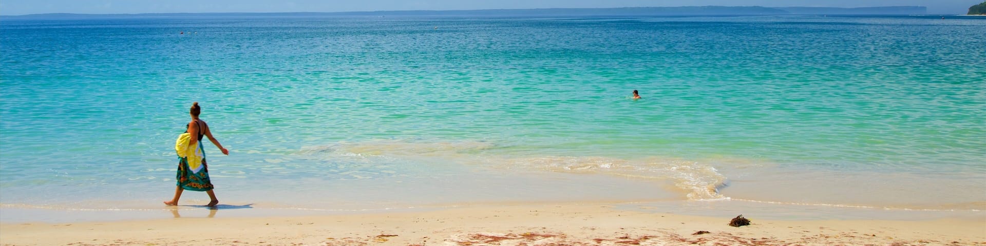Collingwood Beach som visar en hamn eller havsbukt och en strand sÄvÀl som en liten grupp av mÀnniskor