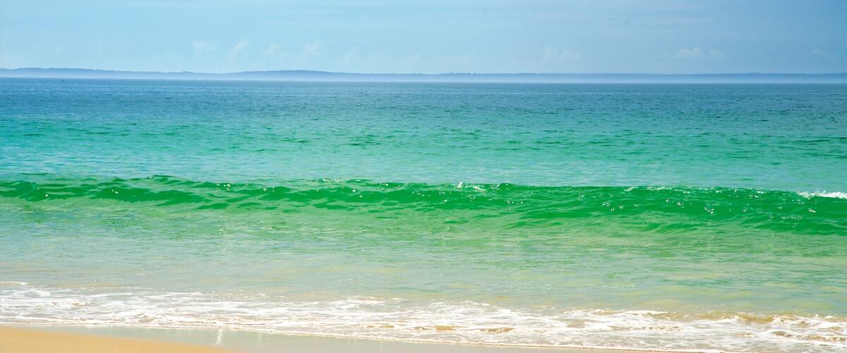 Collingwood Beach showing a sandy beach and general coastal views