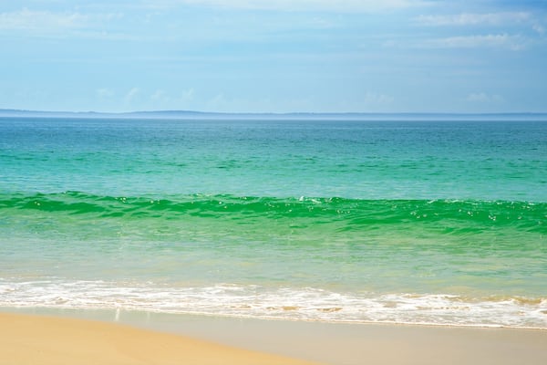 Collingwood Beach which includes a sandy beach and general coastal views