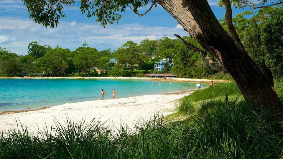 A beach with clear turquoise water, white sand, and lush greenery.
