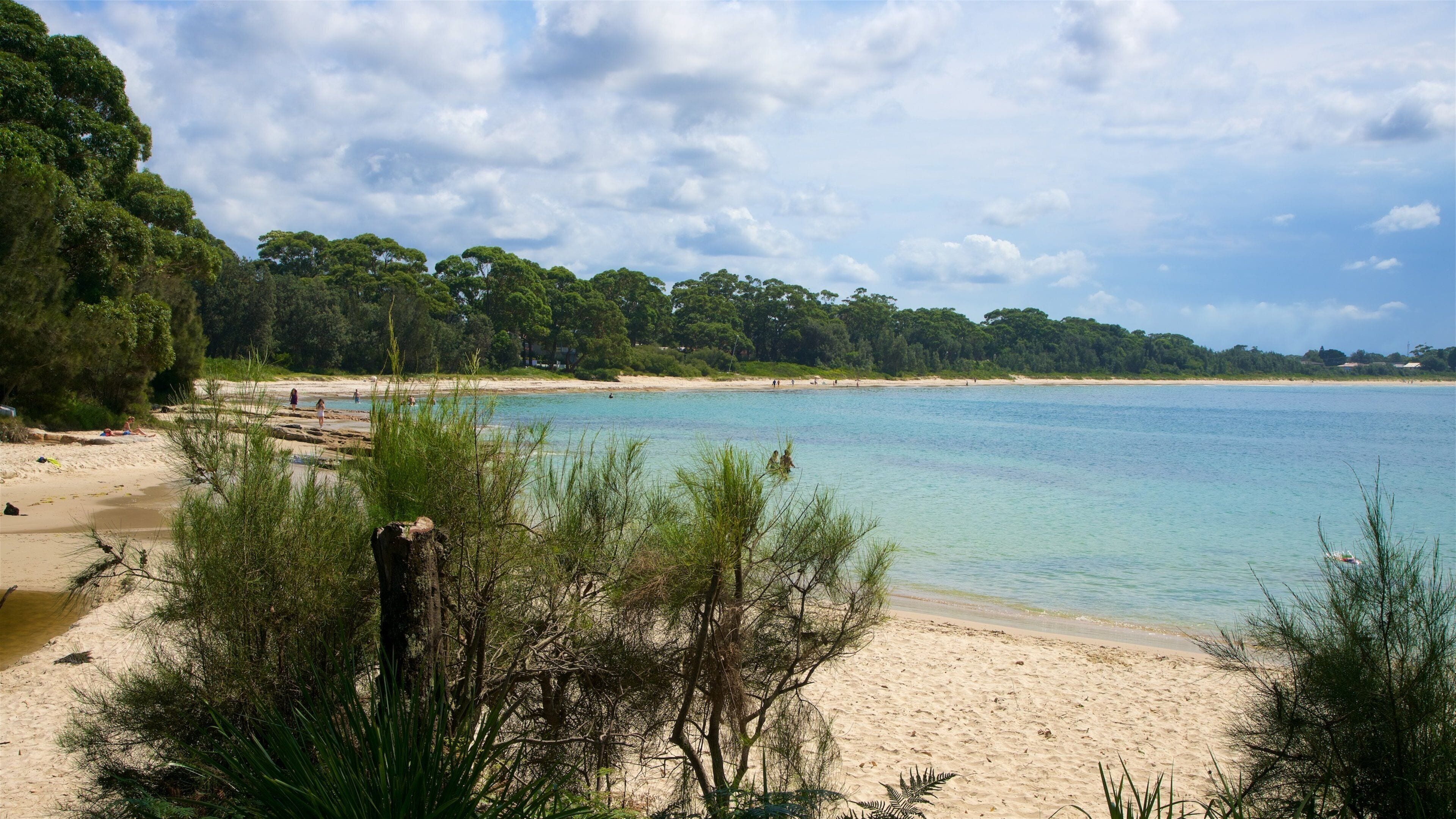 Collingwood Beach showing general coastal views and a sandy beach
