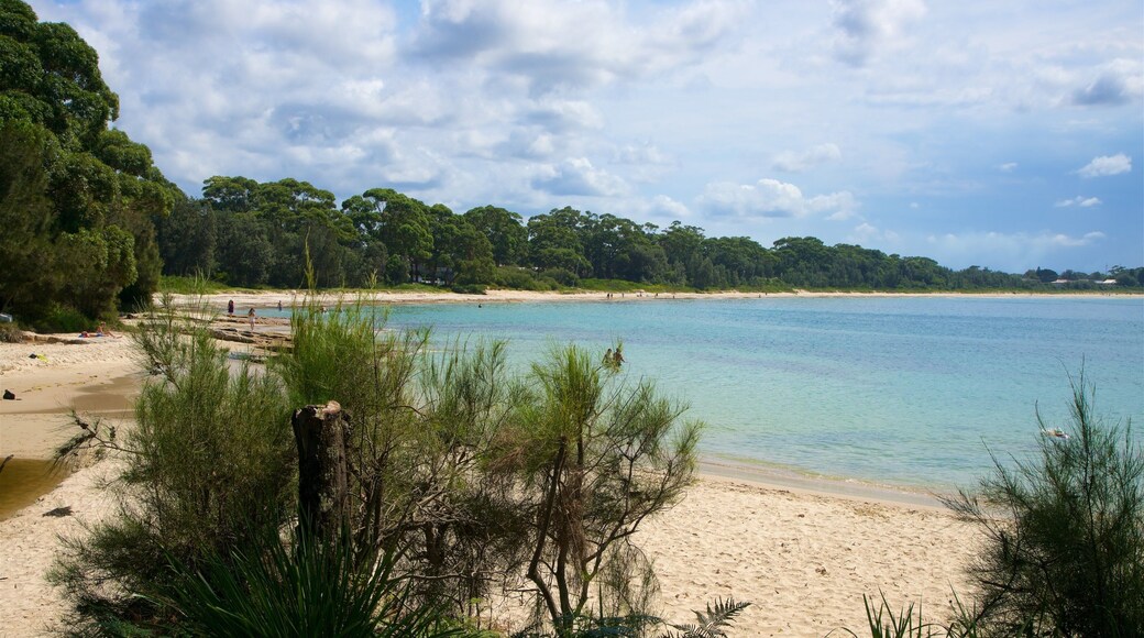 Collingwood Beach showing general coastal views and a sandy beach