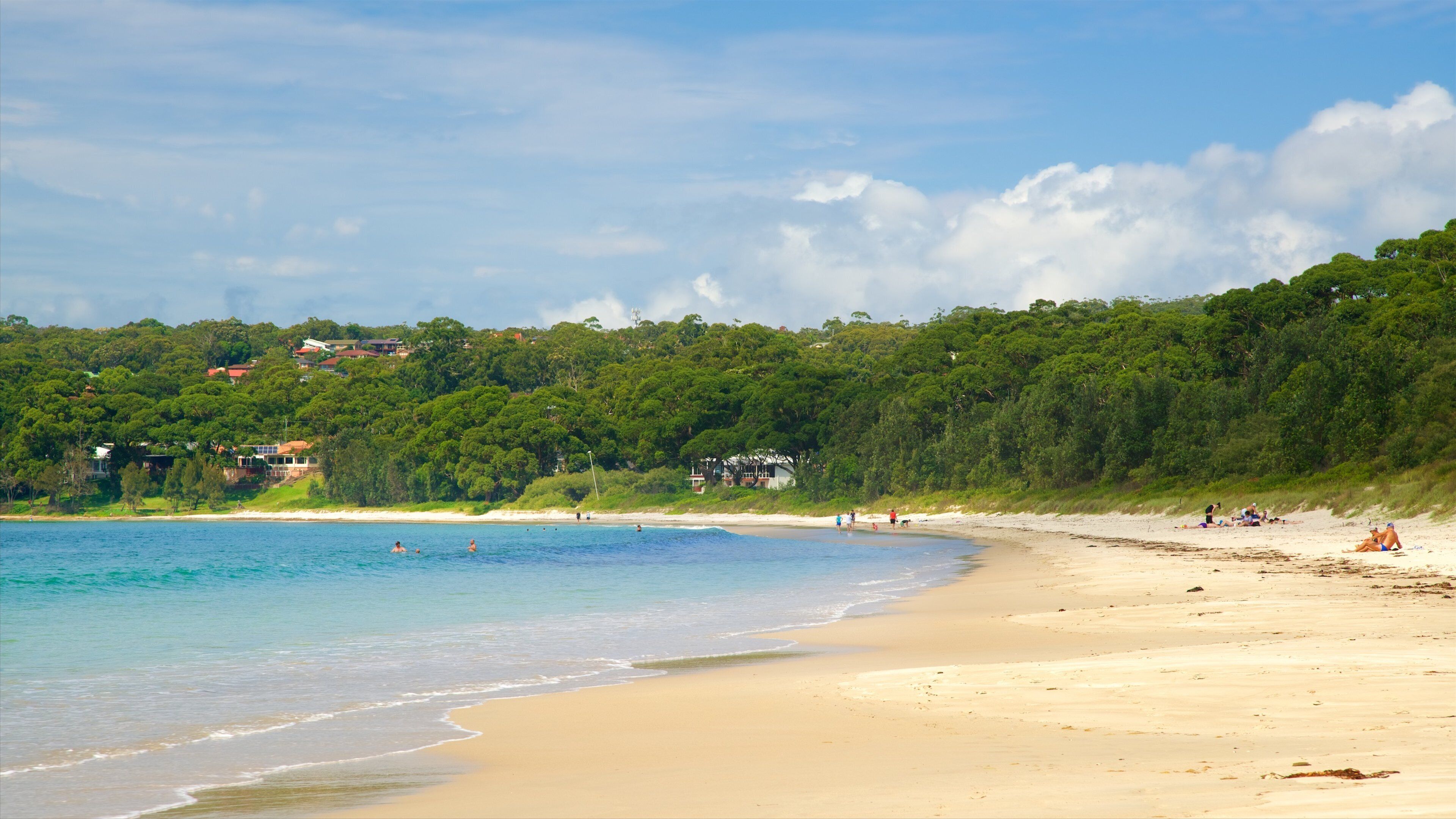 Playa Collingwood mostrando una playa y vistas de una costa