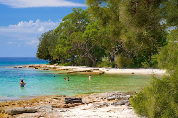 Collingwood Beach showing general coastal views and a sandy beach