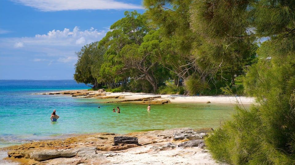 A beach with clear turquoise water, rocky shore, and dense green trees.
