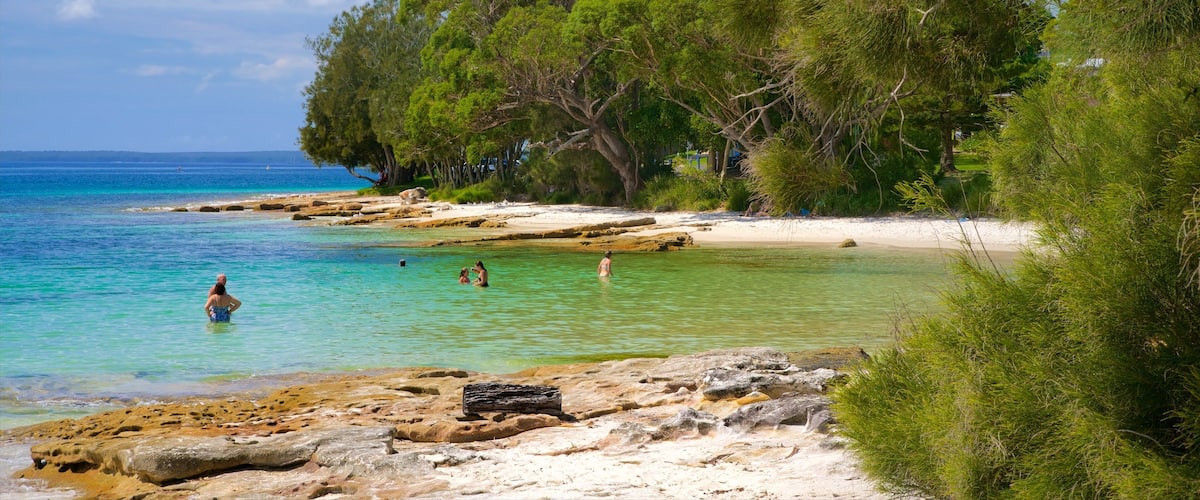 A beach with clear turquoise water, rocky shore, and dense green trees.