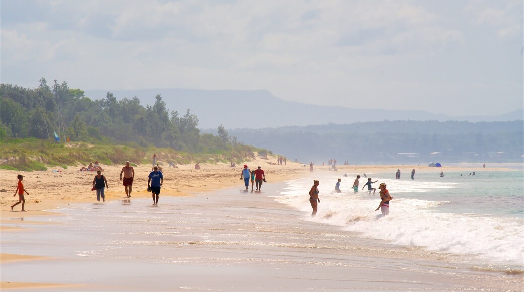 Collingwood Beach welches beinhaltet allgemeine Küstenansicht und Strand sowie große Menschengruppe