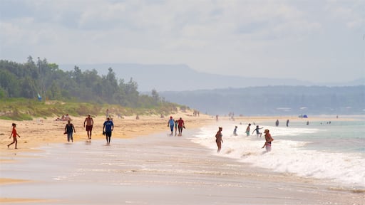 Collingwood Beach som inkluderar kustutsikter och en strand såväl som en stor grupp av människor