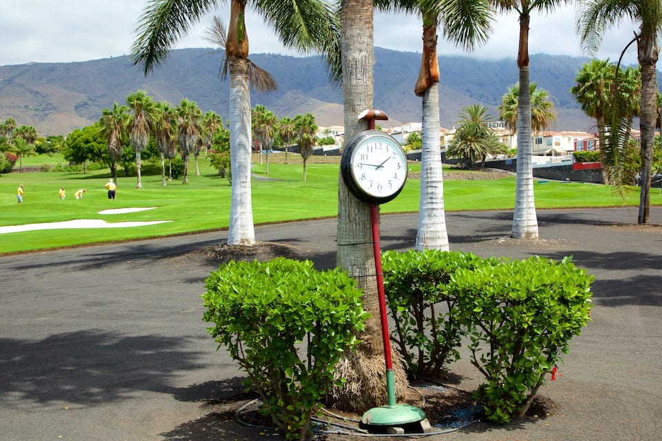A golf course with a clock on a post, palm trees, and a mountain in the background.