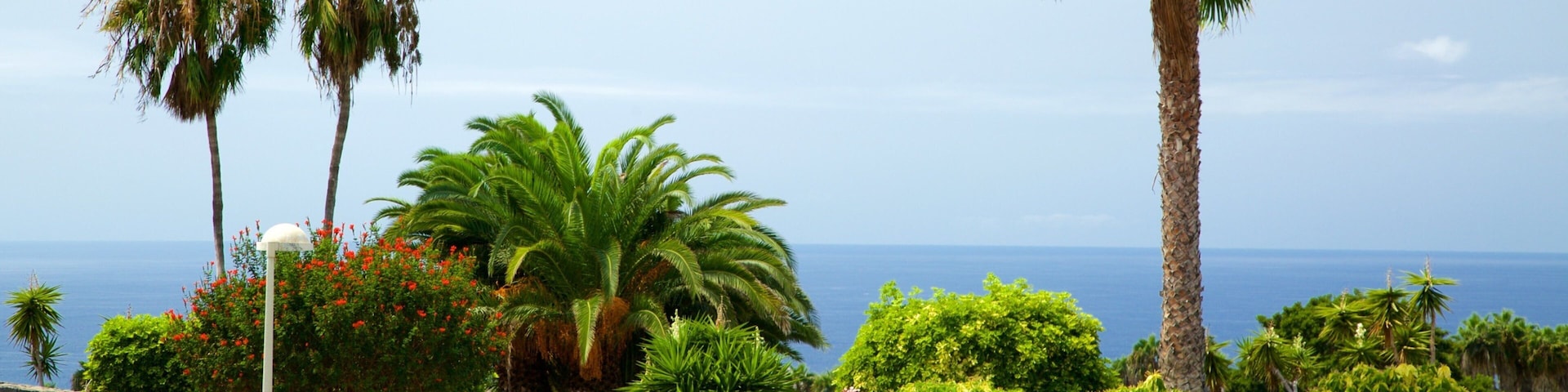 Golf Costa Adeje which includes signage