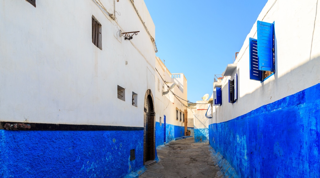 Kasbah dels Udayas