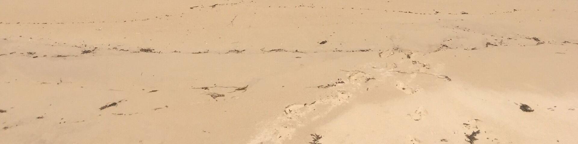 The ocean we like to call our own. Soft sand and crystal blue water. My favorite place in summer. Good fishing and swimming. West Australian Beaches at their finest.