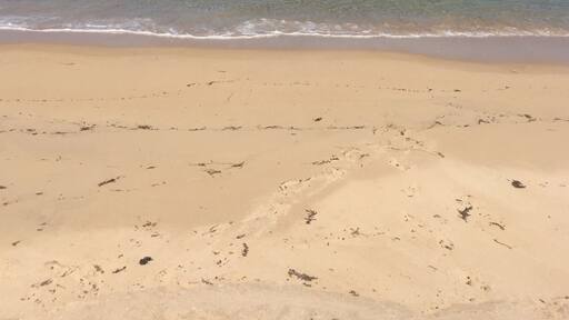 The ocean we like to call our own. Soft sand and crystal blue water. My favorite place in summer. Good fishing and swimming. West Australian Beaches at their finest.