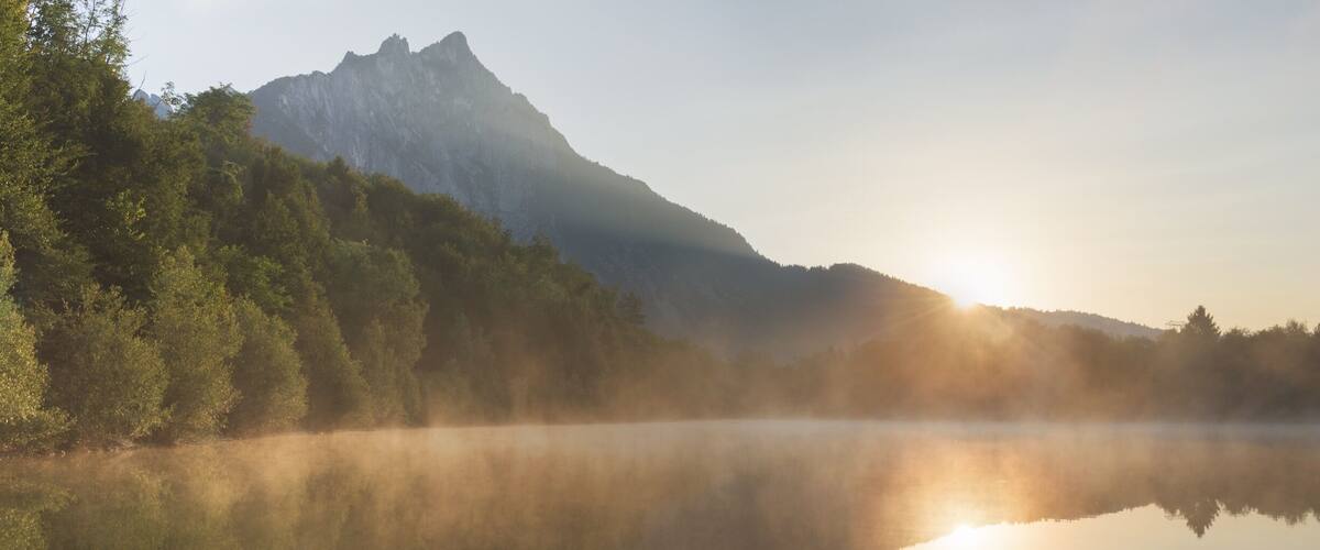 A mountain range, dense forest, and a calm lake with a rock in the foreground.
