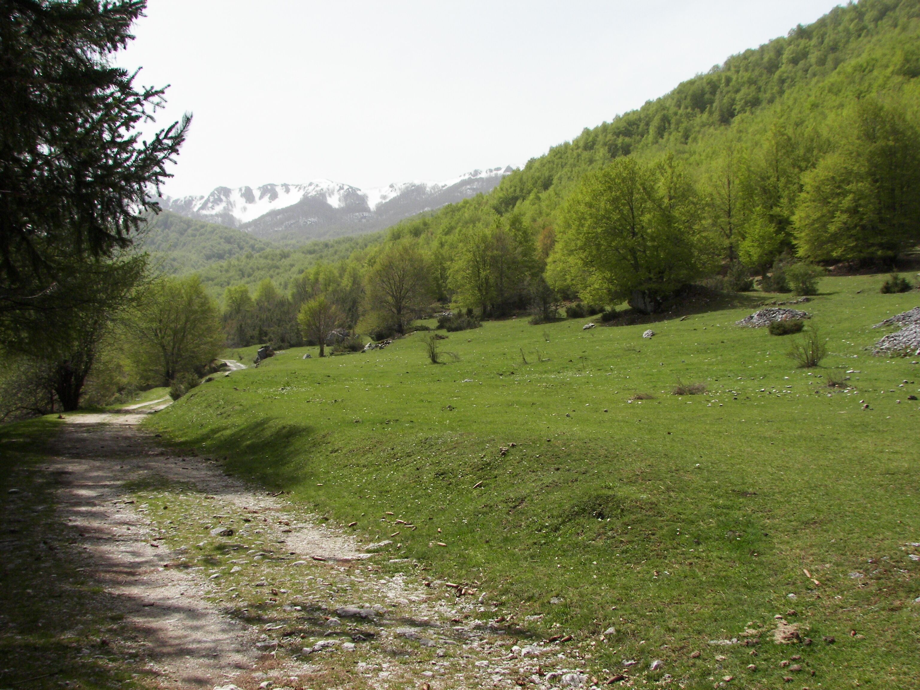 Parco Nazionale d'Abruzzo, Lazio e Molise