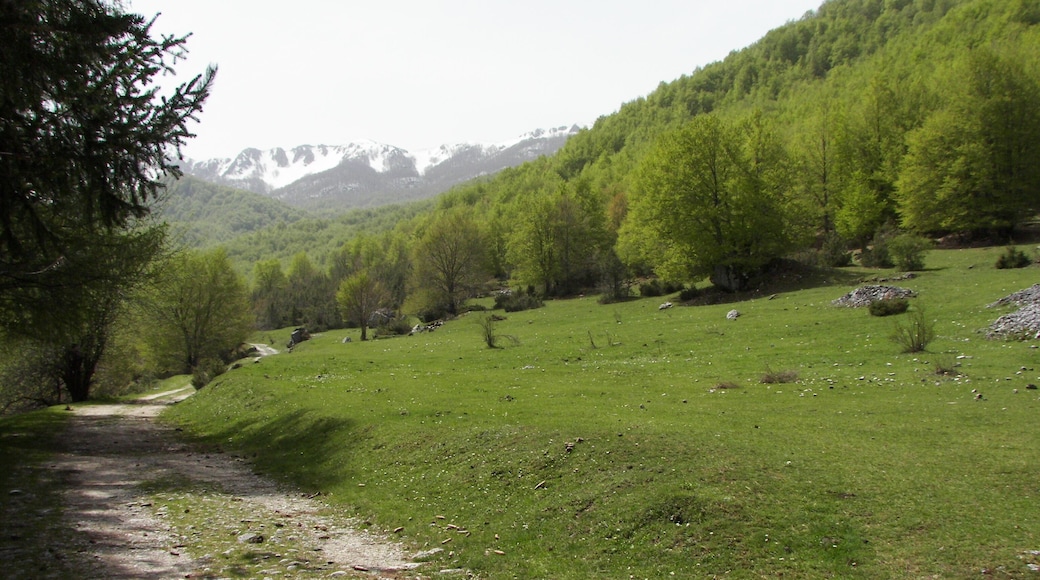 Parco Nazionale d'Abruzzo, Lazio e Molise