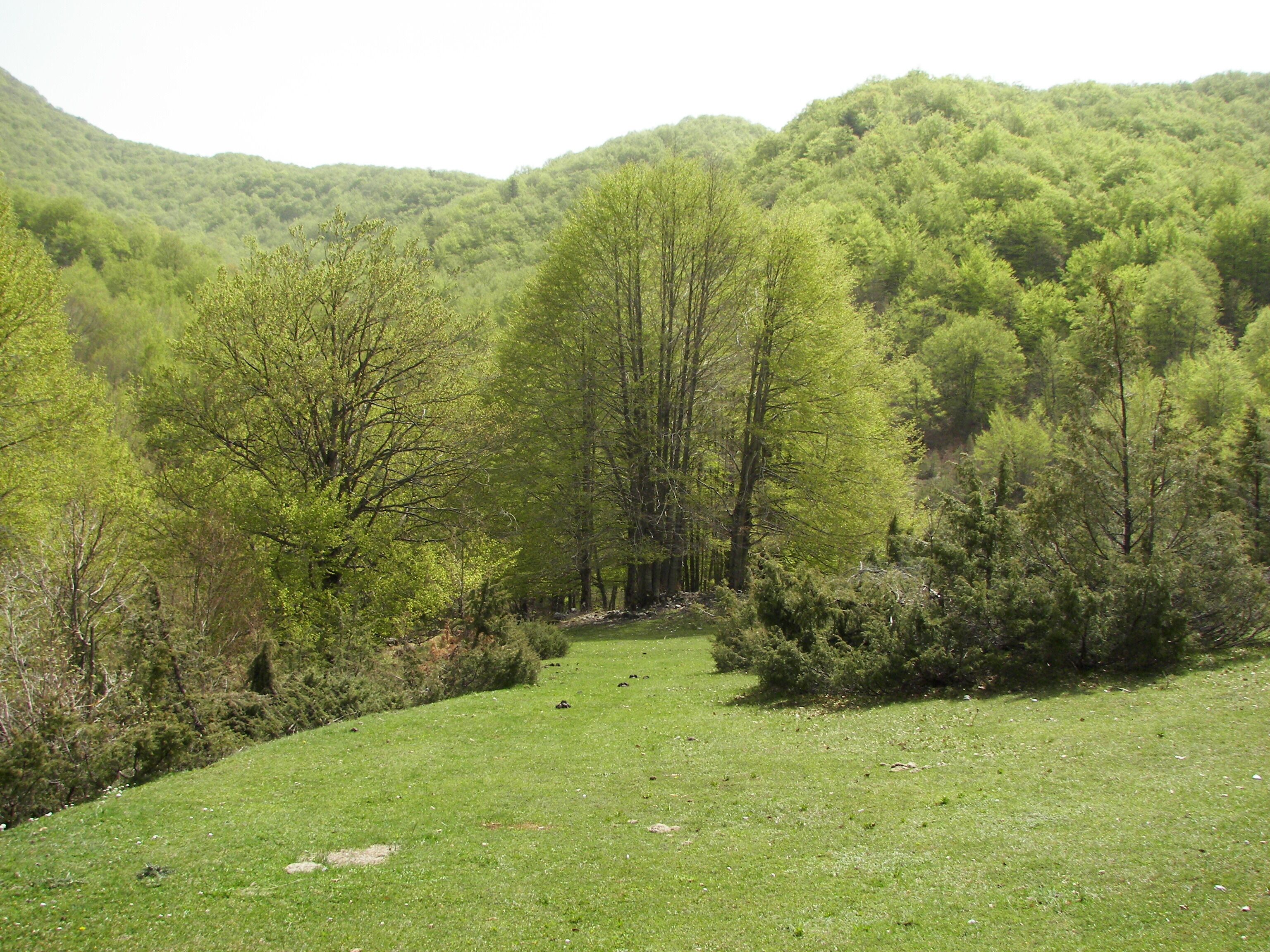 Parco Nazionale d'Abruzzo, Lazio e Molise