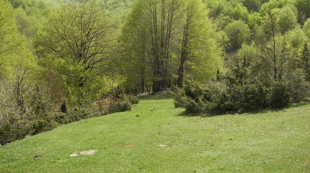 Parco Nazionale d'Abruzzo, Lazio e Molise
