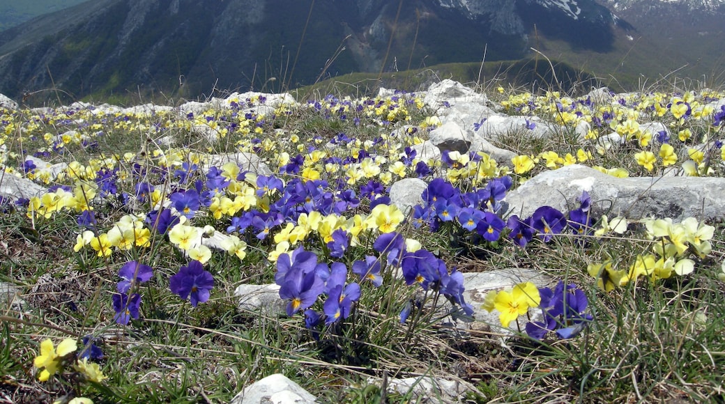 This is a photo of a monument which is part of cultural heritage of Italy. This monument participates in the contest Wiki Loves Monuments Italia 2015. See authorisations.